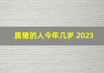 属猪的人今年几岁 2023